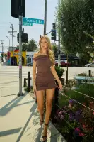 Amelia Ruched Mini Dress