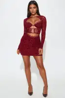 Alexa Longsleeve Mesh Mini Dress
