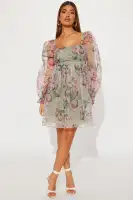 Alice Chiffon Mini Dress