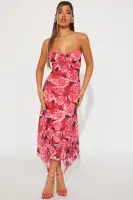 Afternoon Delight Mesh Midi Dress